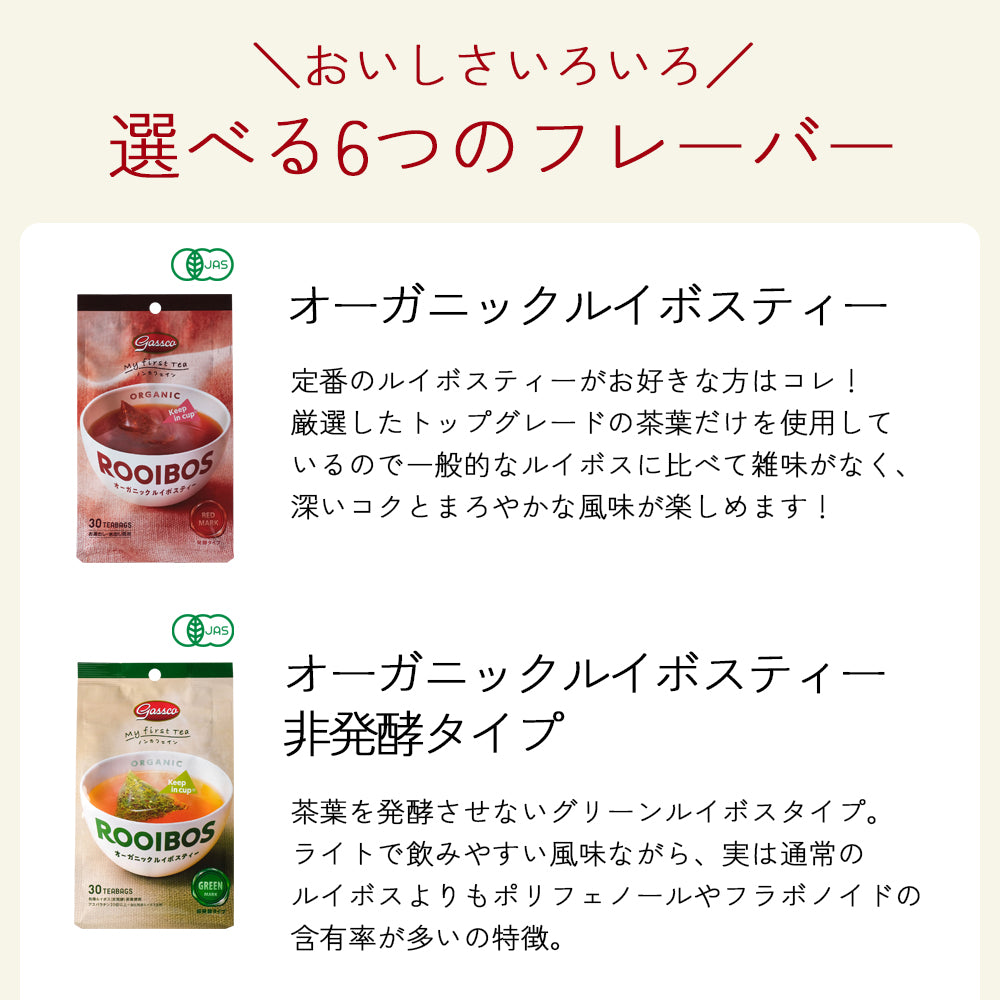 【EC限定6種のフレーバー】ガスコ オーガニックルイボスティー&ハニーブッシュティー