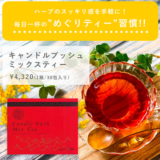 キャンドルブッシュミックスティー 1箱or2箱セット