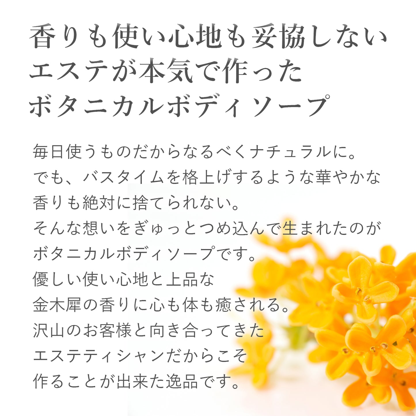 【ECサイト限定価格】ボタニカル ボディーソープ